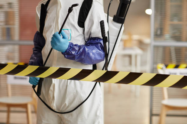 Professional Sewage Cleanup technician working in Port Gamble, WA